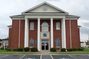 city in Bacon County, Georgia, United States
