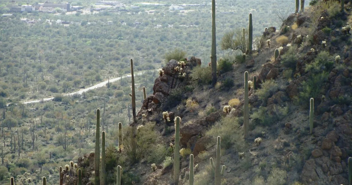 valley in Arizona, United States of America