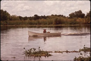 Bayou Gauche, LA
