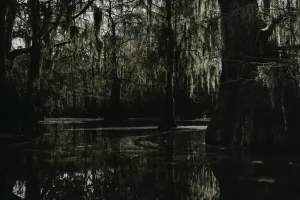Bayou La Batre, AL
