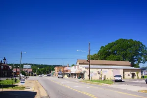 town in Blount County, Alabama, United States