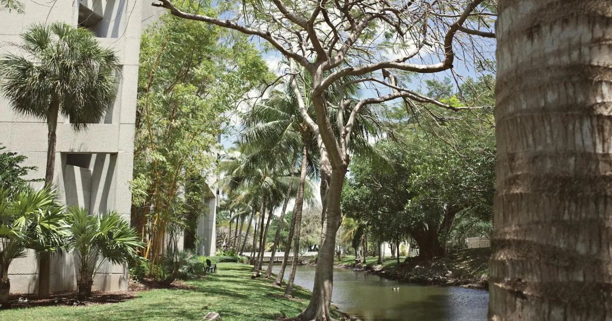 Downtown Boyette, FL, FL