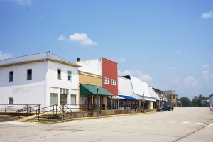 city in Texas County, Missouri, United States