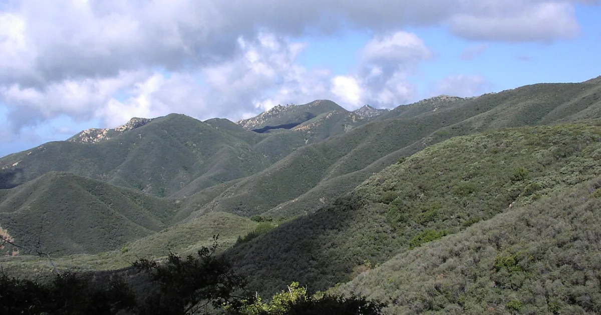 vegetation zone