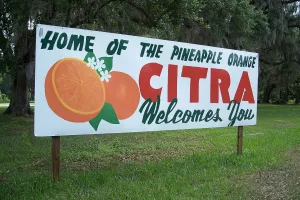 human settlement in Florida, United States of America