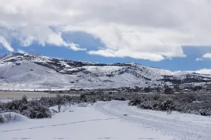Cold Springs, NV