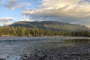 Columbia Falls, MT