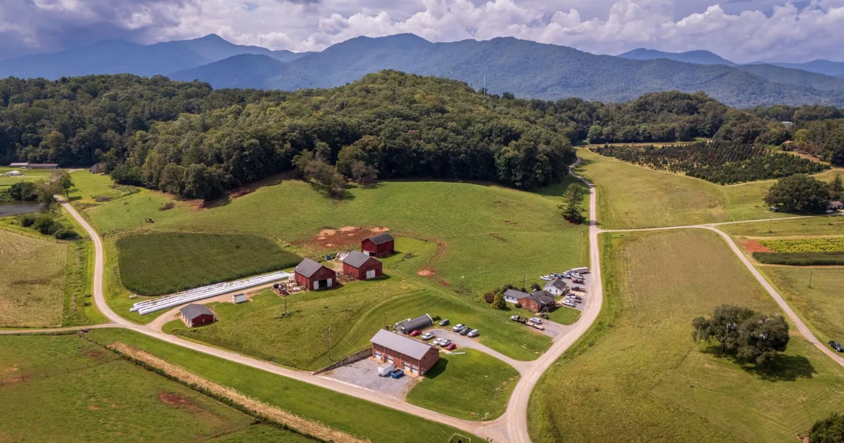 Downtown Erwin Heights, NC, NC