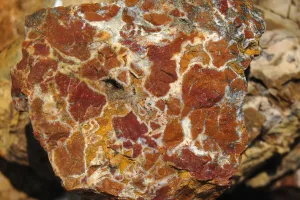 chalcedony variety colored by iron oxide