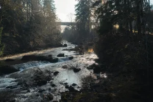 Kettle Falls, WA