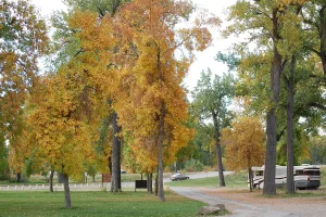 city in Yellowstone County, Montana, United States