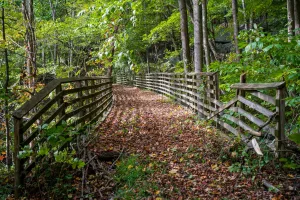 Mallory, WV