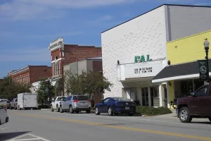 city in and the county seat of Jenkins County, Georgia, United States