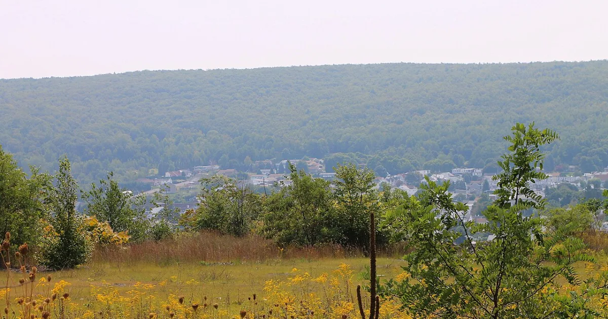 borough in southeastern Northumberland County, Pennsylvania, United States