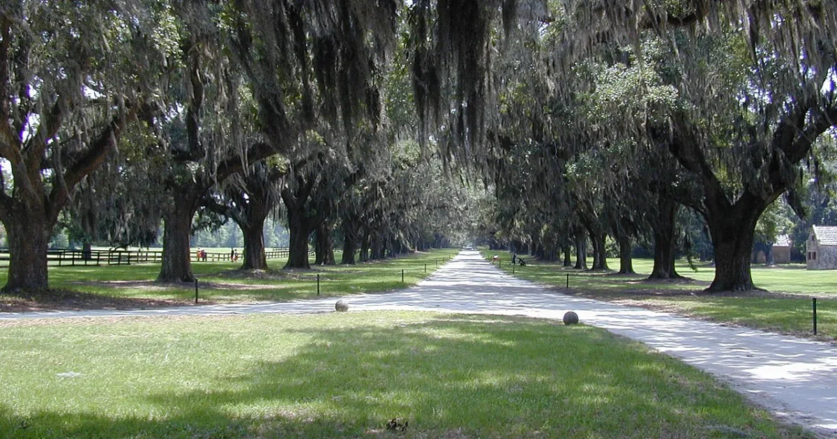 town in Charleston County, South Carolina, United States
