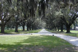 Mount Pleasant, SC