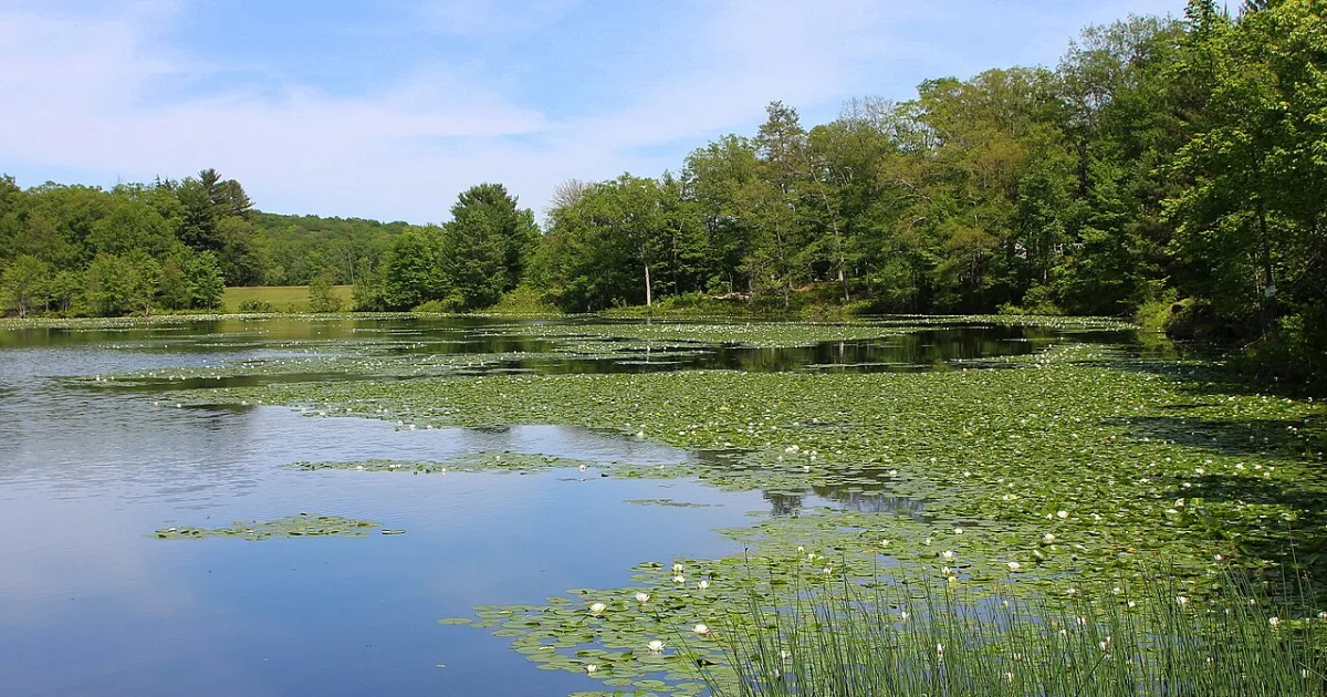 census designated place in Luzerne County, Pennsylvania, United States