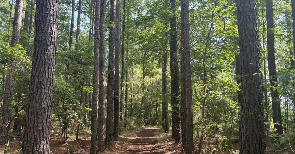Downtown Neuse Forest, NC, NC