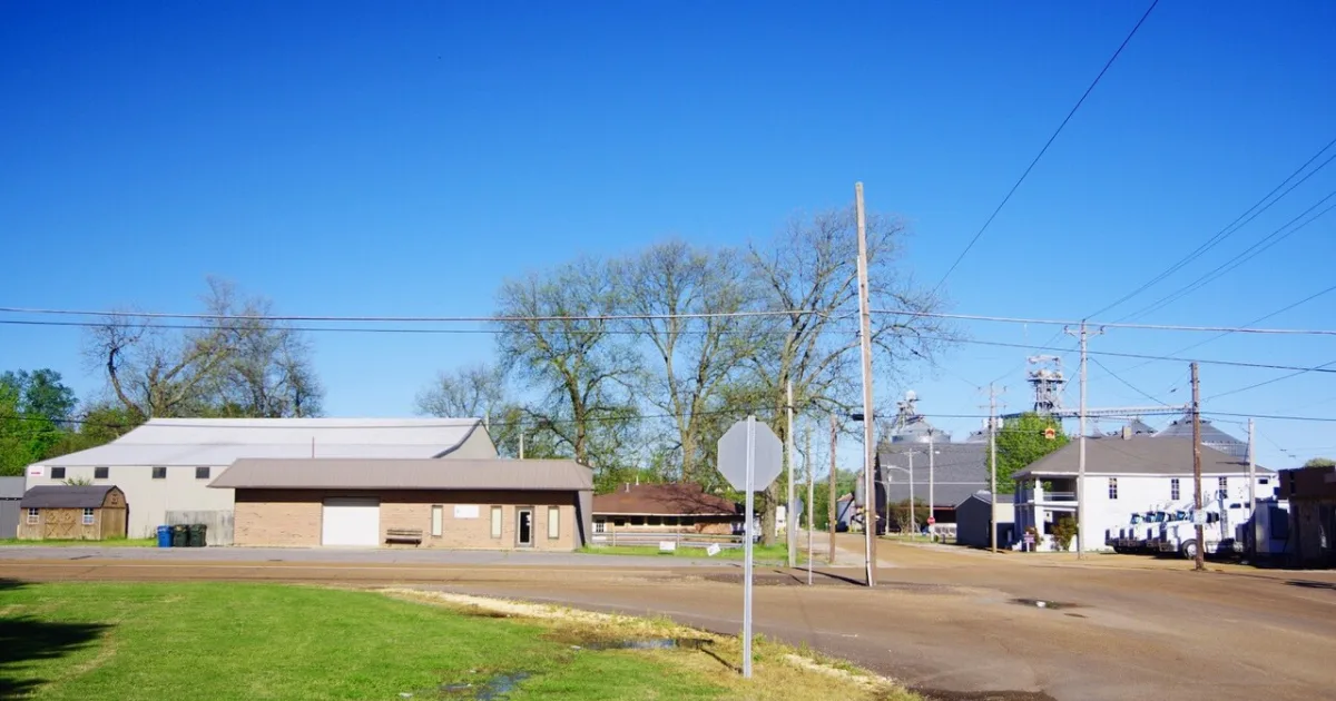 human settlement in Obion County, Tennessee, United States of America