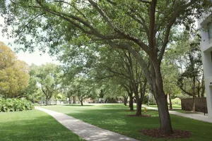Downtown Ocala, FL, FL