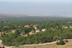 Israeli settlement in the occupied Golan Heights