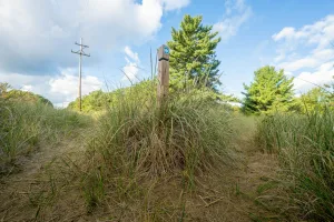 Downtown Ogden Dunes, IN, IN