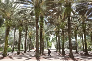 Downtown Palm Beach Gardens, FL, FL