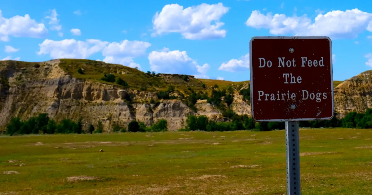 Downtown Prairie City, IA, IA