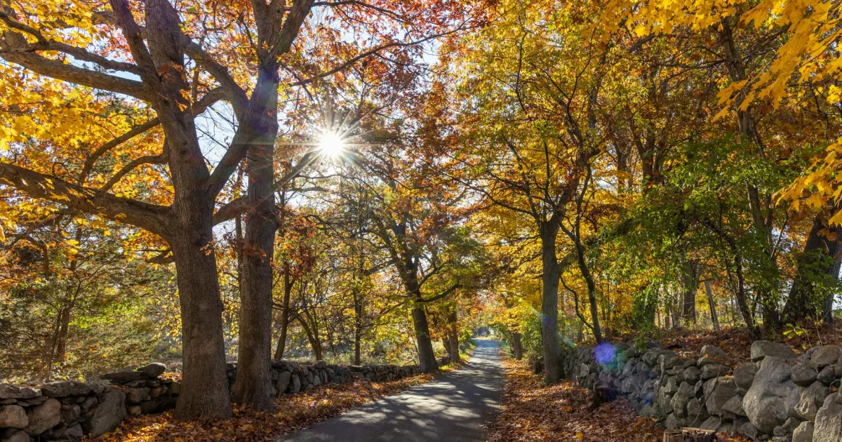 Downtown Raynham Center, MA, MA