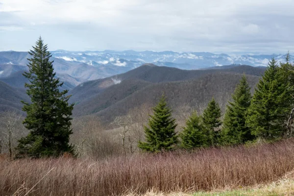 Roan Mountain, TN