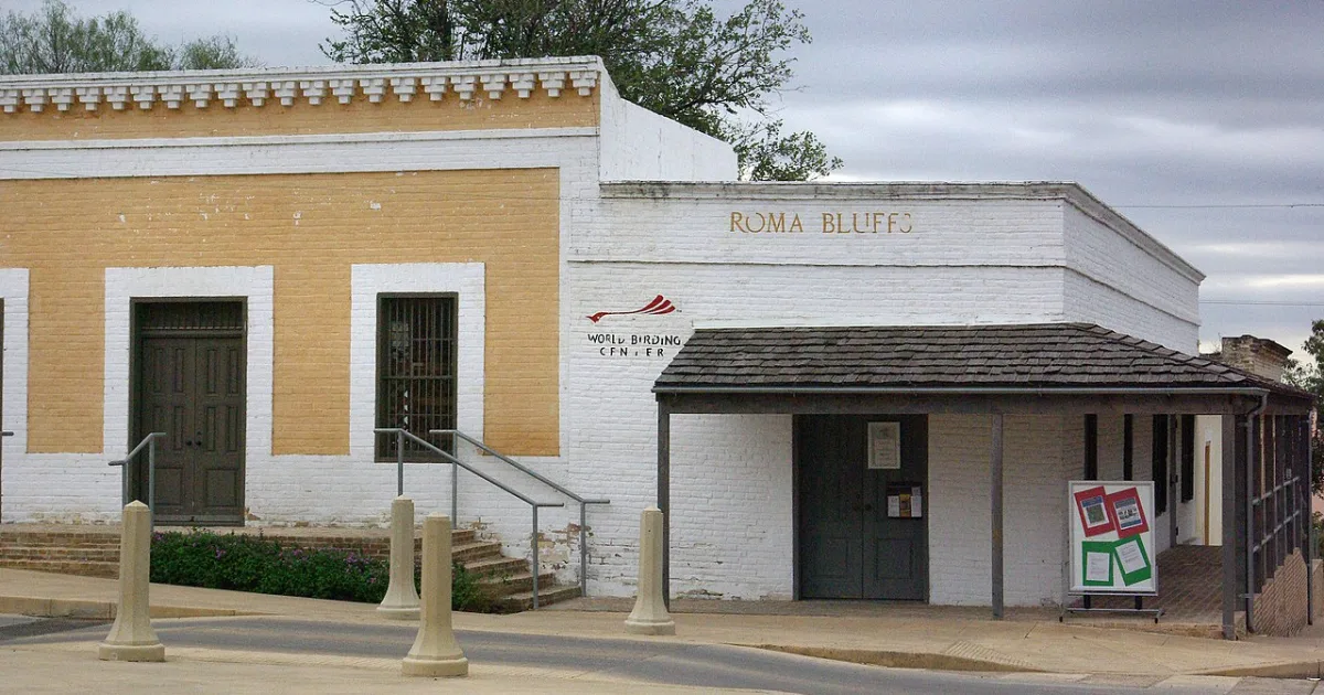 city in Starr County, Texas, United States