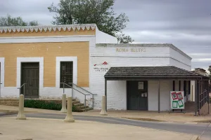 city in Starr County, Texas, United States