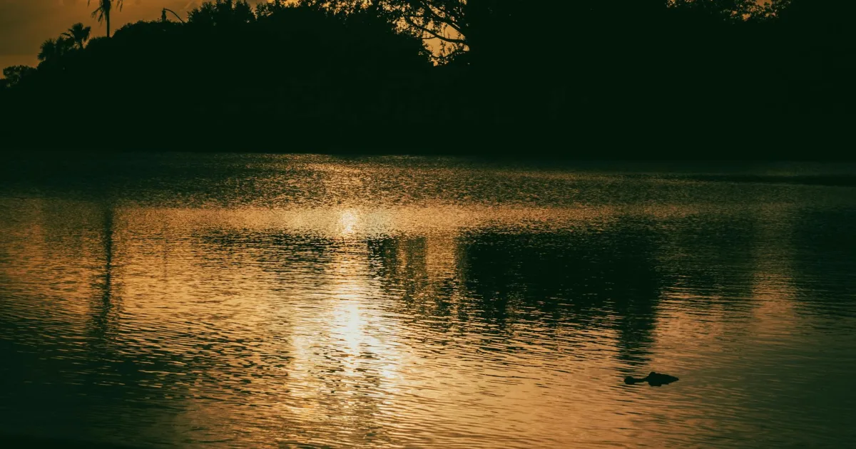 Downtown Sky Lake, FL, FL