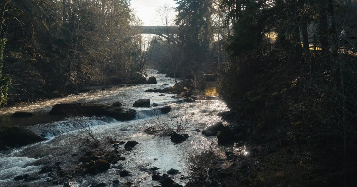 Downtown South Bend, WA, WA