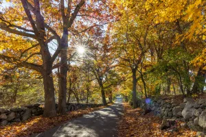 Downtown Southborough, MA, MA