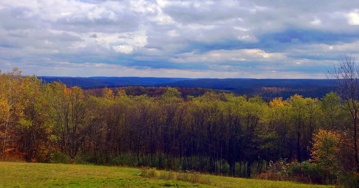 town in Allegany County, New York, United States of America