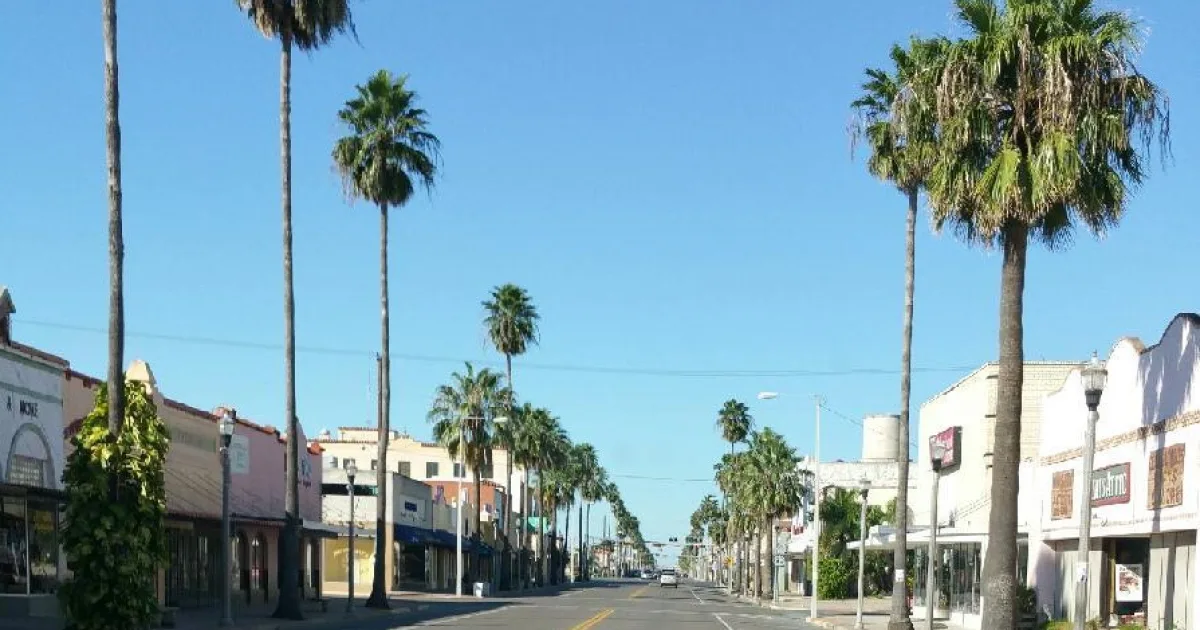 city in Hidalgo County, Texas, United States