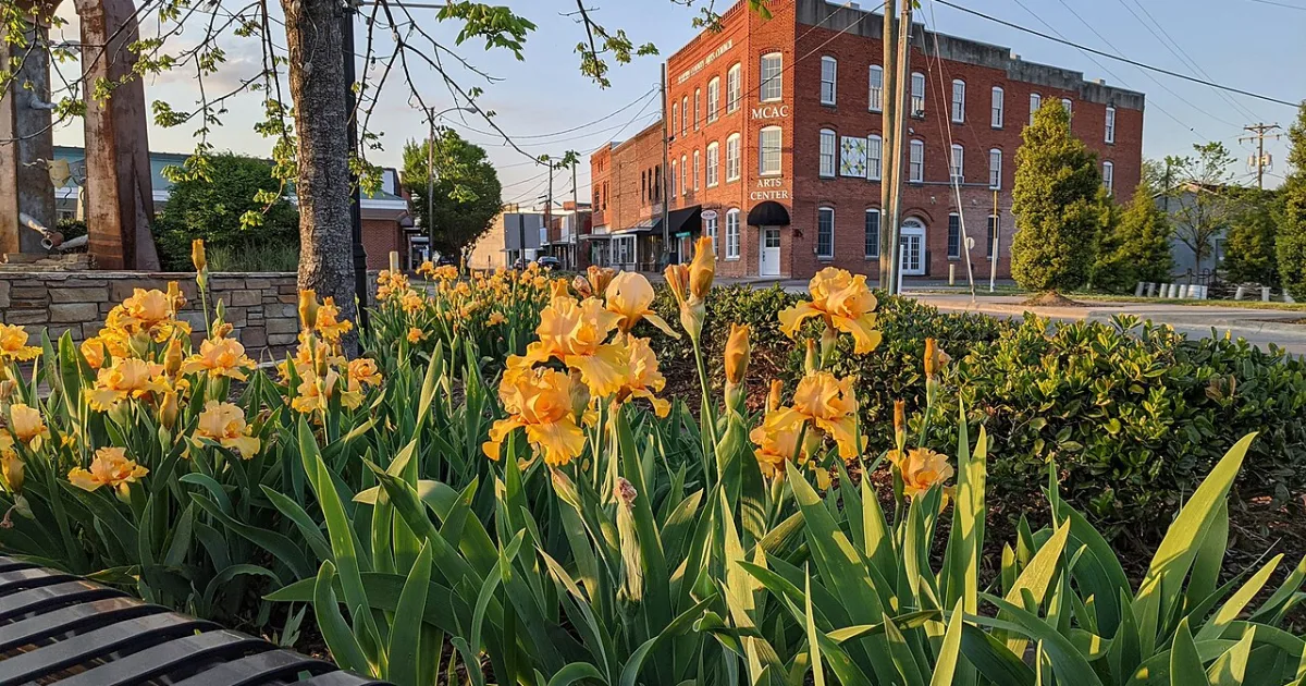 city in North Carolina, United States