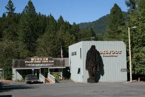 census-designated place in Humboldt County, California, United States