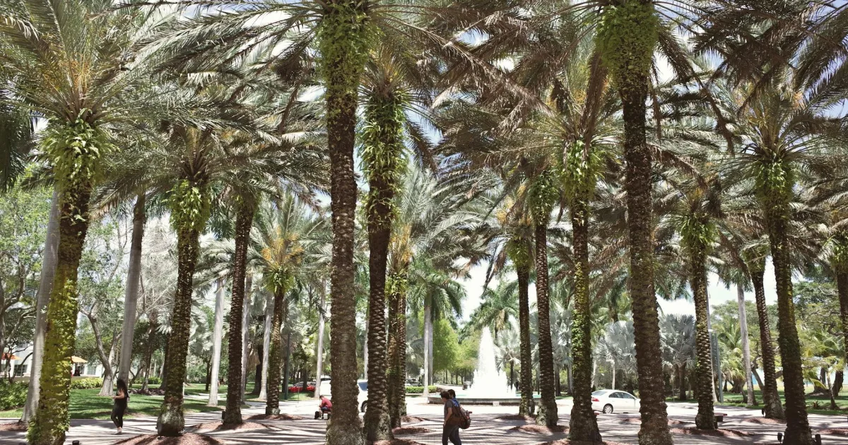 Downtown Wimauma, FL, FL