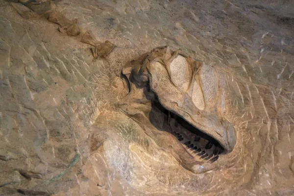 Dinosaur National Monument