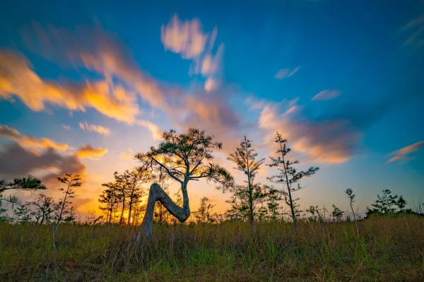 Everglades National Park