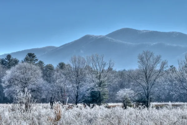 Great Smoky Mountains National Park
