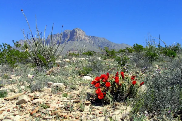 Guadalupe Mountains National Park