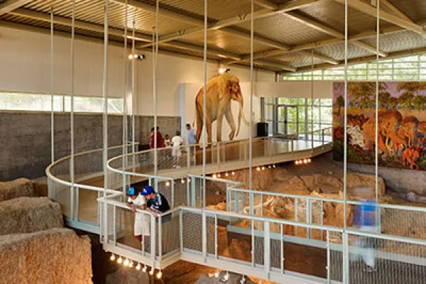 Waco Mammoth National Monument